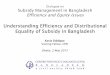 Understanding Efficiency and Distributional Equality of Subsidy in Bangladesh