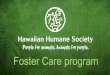 Foster animals slide show (web)