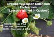 Strawberry Season Extension Techniques: “Lessons Gained in Quebec”