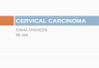 Cervical carcinoma