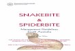 Snakebite spiderbiteguidelinessa sa-health08(1)