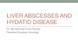 Liver abscesses and hydatid disease