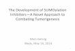 The Development of SUMOylation Inhibitors—A Novel Approach to