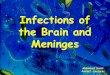 Brain Infections 1