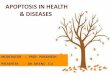Apoptosis in health and diseases