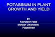 POTASSIUM IN PLANT GROWTH AND YIELD