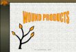 Wound products.ppt ppt