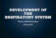 Development of repiratory system By Adhish Gautam