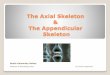 The Axial Skeleton & Appendicular Skeleton