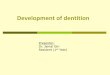 Development of dentition