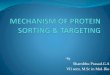 !Mechanism of protein sorting & targeting
