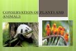 Conservation of plants and animal