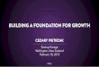 Building a Foundation for Growth (cezary.co)