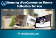 Stunning WooCommerce Theme Collection for You