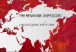 The renminbi unpegged - Macroeconomics of China