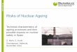 Risks of Nuclear Ageing