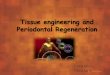 Tissue engineering and periodontal regeneration