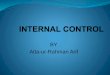 8. internal control new