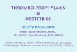 Thromboprophylaxis in Obstetrics