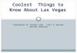 Coolest Things to Know About Las Vegas!