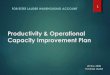 estee lauder - Productivity and Operational Capacity Improvement Plan