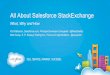 Pushing the Boundaries: The Best of Salesforce StackExchange