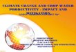 CLIMATE CHANGE AND CROP WATER PRODUCTIVITY - IMPACT AND MITIGATION