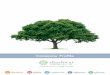 Shashwat Cleantech-  Company profile in brief
