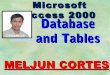 MELJUN CORTES ms access2000 database table