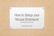 How to setup your mouse enclosure and How to Choose Your Perfect Mouse