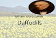 William wordsworth daffodils poem  lesson plan Turkey Turkiye