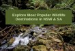 Explore Most Popular Wildlife Destinations in NSW & SA - Sundowner Gardenia Motor Inn Bass Hill