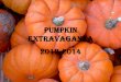 Pumpkin extravaganza ppt