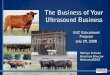 Ultrasound Guidelines Council Business Presentation