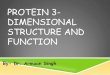 Protein 3 dimensional structure and function