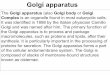 Golgi apparatus ppt