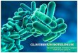 Clostridium botulinium(Microbiology)