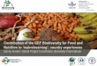 Contributions of the BFN Project to mainstreaming - country experiences