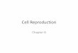 Cell reproduction notes