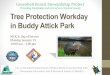 MLK Day of Service Tree Protection Workday at Buddy Attick Park