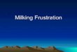 Milking Frustration