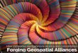 Forging Geospatial Alliances