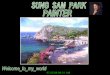 Sung Sam Park  Painter (Nx Power Lite)
