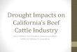 Drought Impacts on California's Beef Cattle Industry