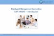 Blackvard Management Consulting - SAP HANA Introduction