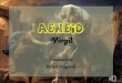Aeneid Virgil (Book II: How They Took The City)