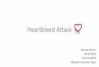 The Heartbleed Attack