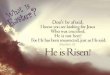 Jesus is Risen from the dead– is it true?