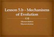 Lesson 5 b   mechanisms of evolution