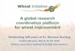 Borlaug100 - Wheat Initiative presentation